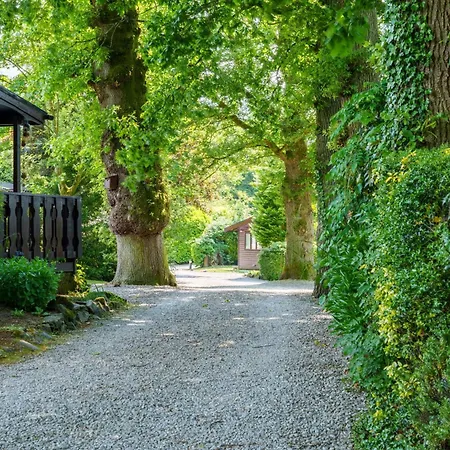 Old Orchards - Woodland Retreat At The Edge Of Holiday home *