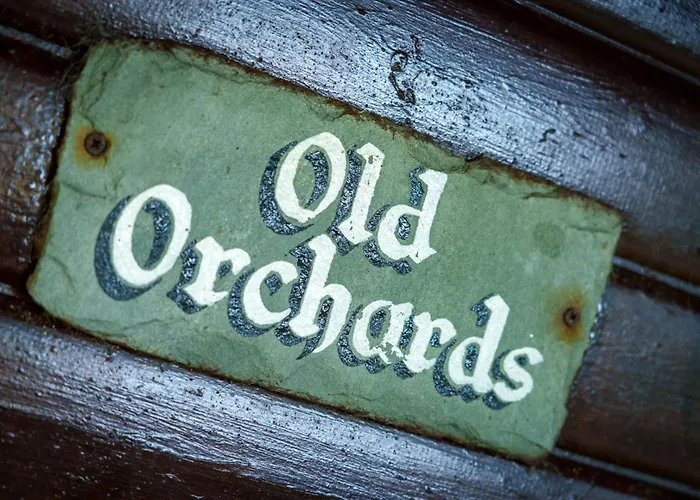 Holiday home Old Orchards - Woodland Retreat At The Edge Of