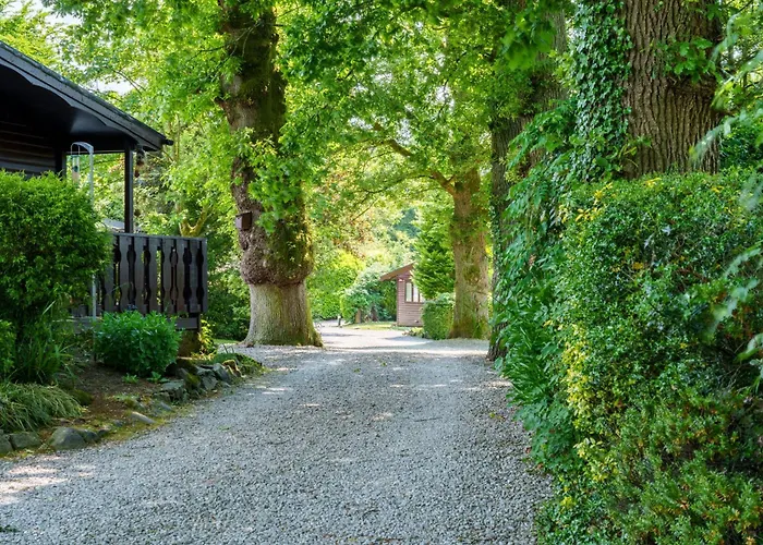 Old Orchards - Woodland Retreat At The Edge Of Holiday home *