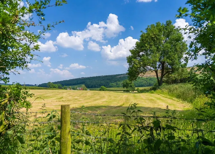 Holiday home Old Orchards - Woodland Retreat At The Edge Of *