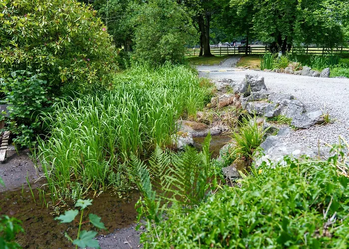 Holiday home Old Orchards - Woodland Retreat At The Edge Of