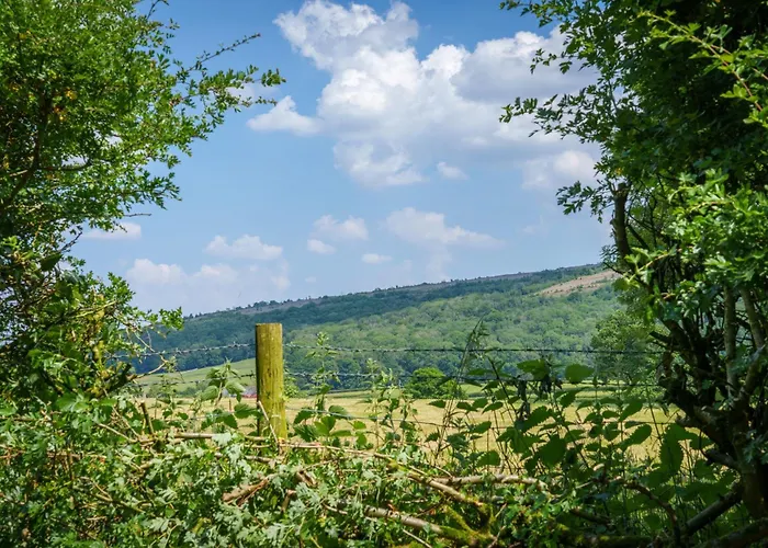 Old Orchards - Woodland Retreat At The Edge Of Cartmel